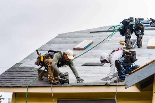 Professional Roof Inspection technician working in Morriston, FL